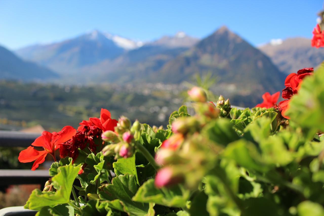 Schenna Garni Eden Bed & Breakfast Buitenkant foto