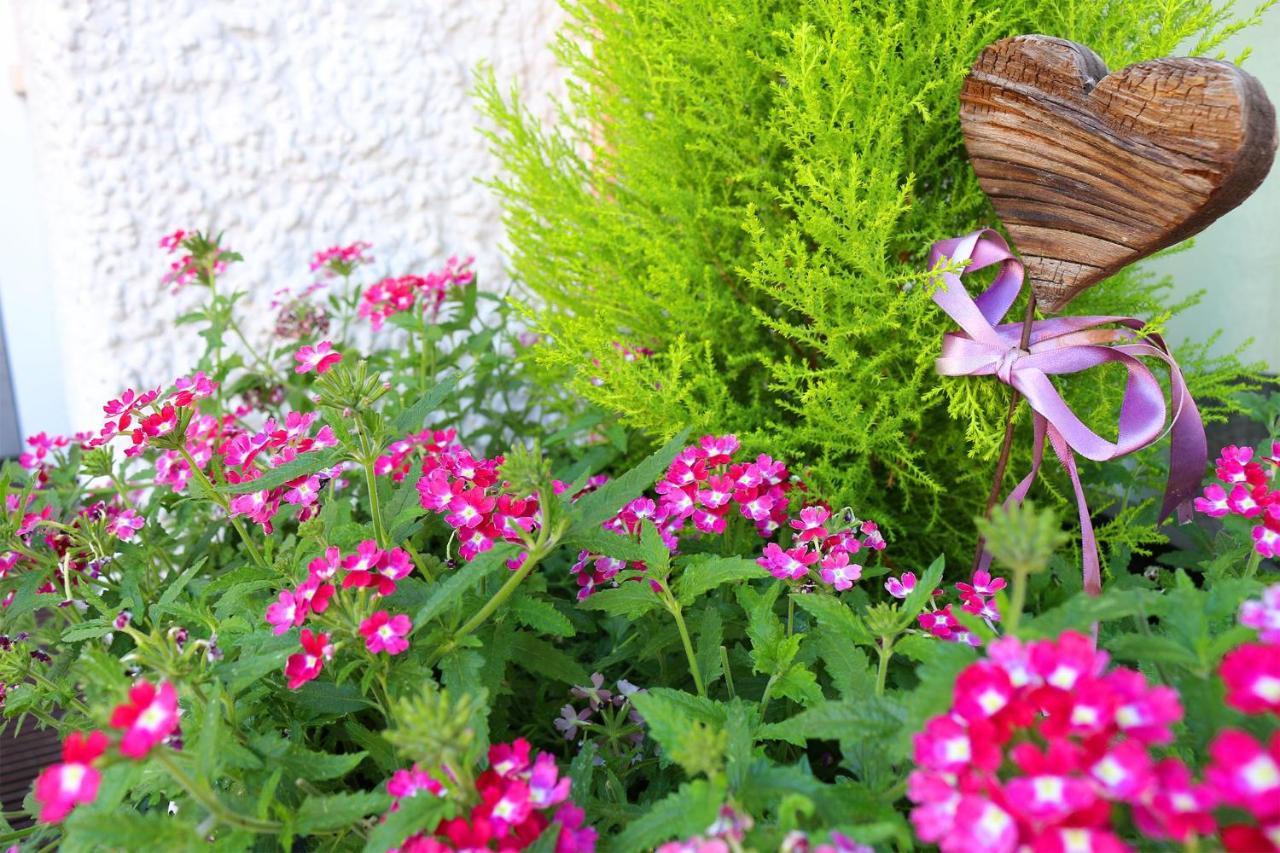 Schenna Garni Eden Bed & Breakfast Buitenkant foto