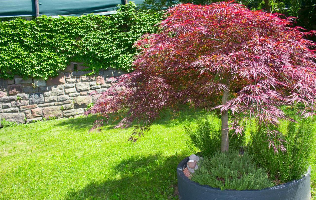 Schenna Garni Eden Bed & Breakfast Buitenkant foto